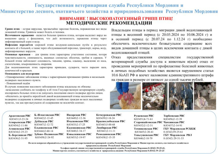 Памятка птичий грипп. Памятка птичий грипп.